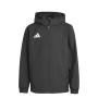 Adult - adidas Entrada26 AW Jacket